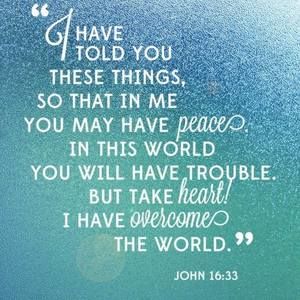 Meet your Posher, Carley